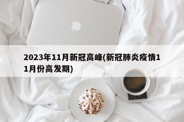 2023年11月新冠高峰(新冠肺炎疫情11月份高发期)