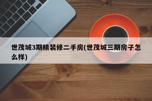 世茂城3期精装修二手房(世茂城三期房子怎么样)