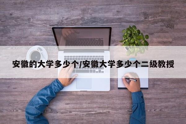 安徽的大学多少个/安徽大学多少个二级教授