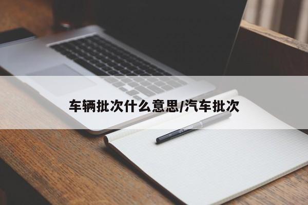 车辆批次什么意思/汽车批次
