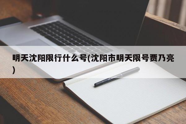 明天沈阳限行什么号(沈阳市明天限号贾乃亮)