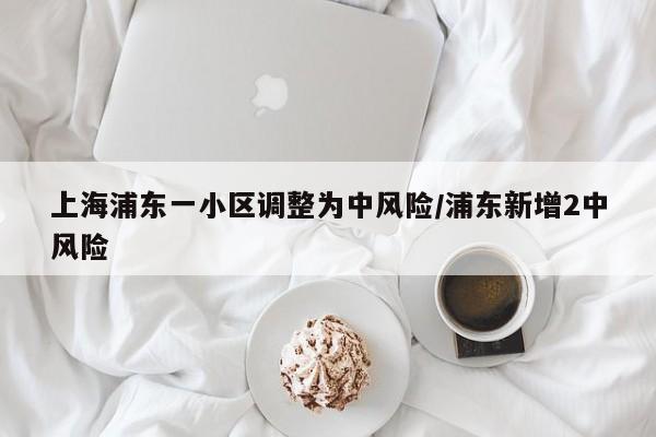 上海浦东一小区调整为中风险/浦东新增2中风险