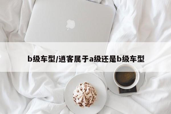 b级车型/逍客属于a级还是b级车型