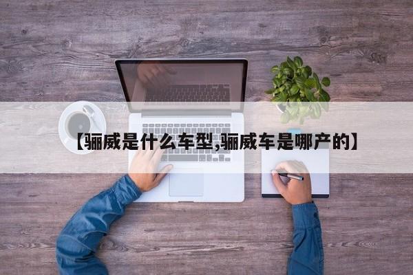 【骊威是什么车型,骊威车是哪产的】
