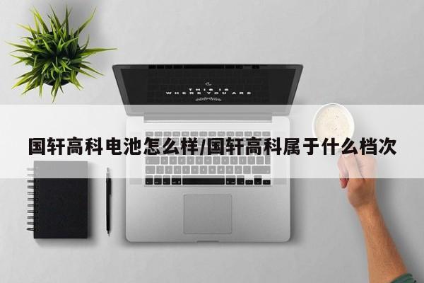 国轩高科电池怎么样/国轩高科属于什么档次