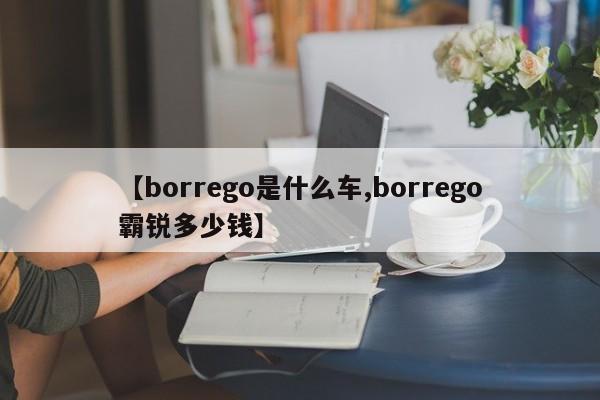 【borrego是什么车,borrego霸锐多少钱】